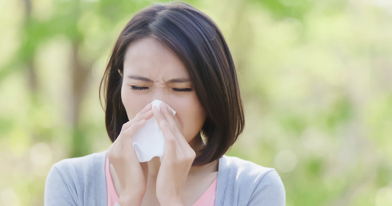 Antiallergika im Vergleich